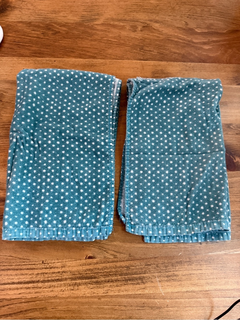 PIONEER WOMAN Teal Polka Dot Hand Towel (2)